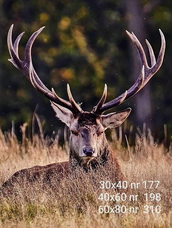 Wanddoek liggend hert