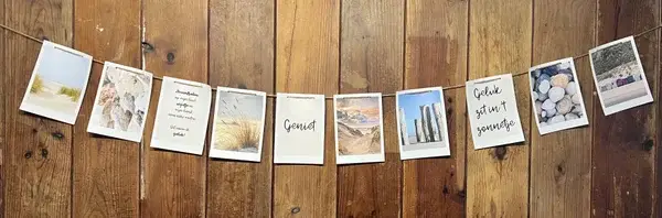 Tuinslinger zomer ☀️