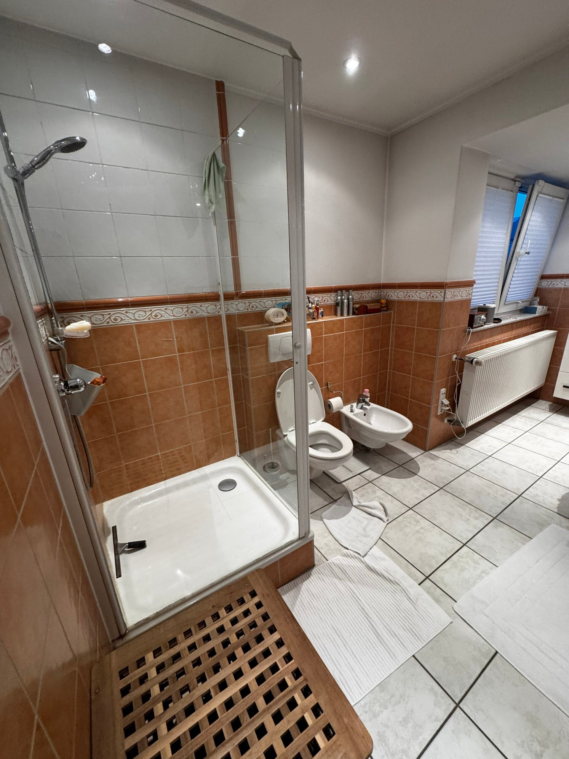 elternbad-dusche-standard.jpg