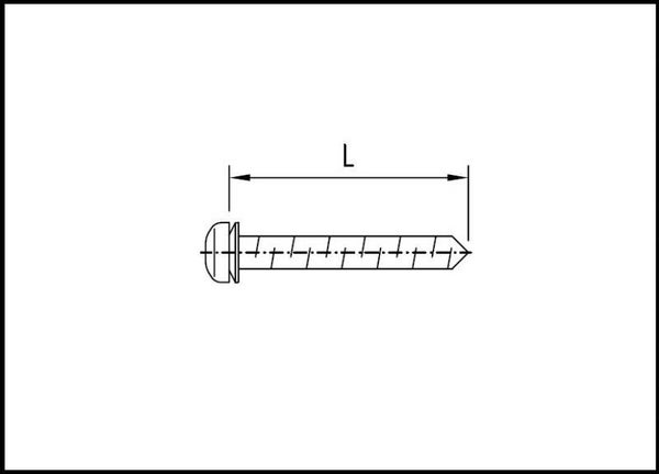 4201 - 4225 Pressleistenschraube