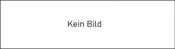 6110 Deckleistenabzieher