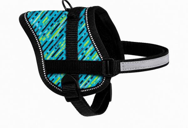 Beeztees sport tuig kleine hond - Blauw gestreept