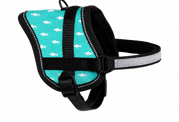Karlie sport tuig - lichtblauw/vis