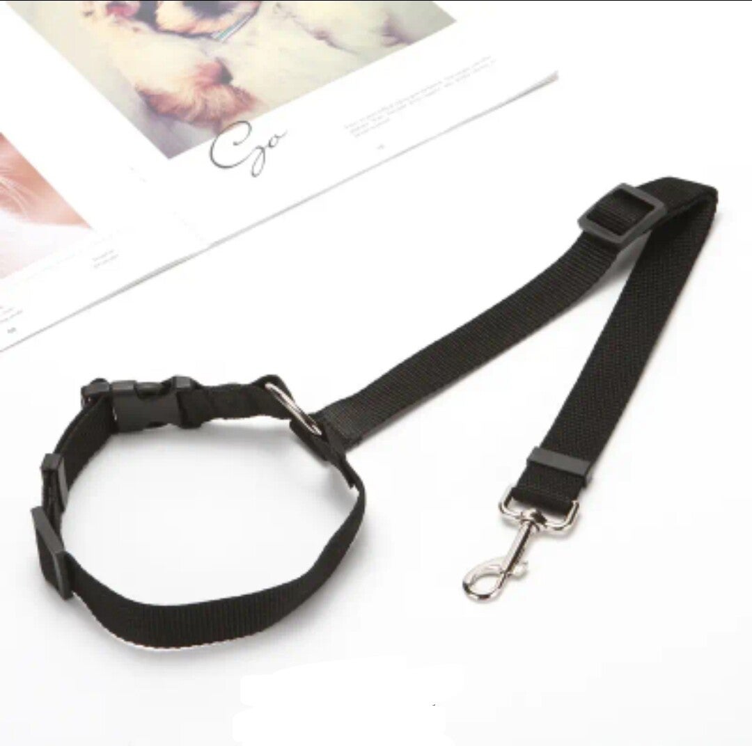 Veiligheidsgordel zwart