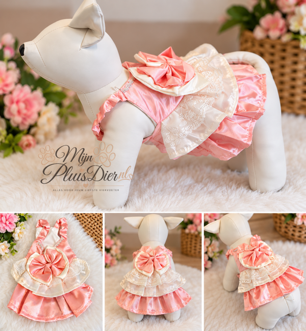 Honden PRINSESSEN jurk - roze met wit
