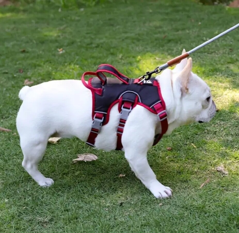 HSI Harness Basic - Hütter Veiligheid B.V HSI Harness Basic - Hütter Veiligheid B.V
