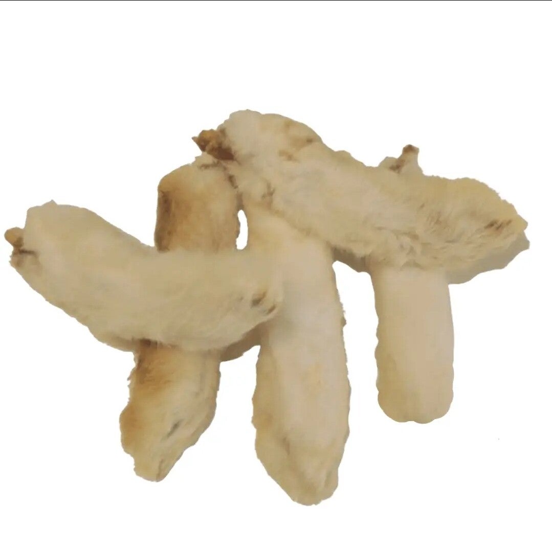 MPD gedrogde konijnen poten