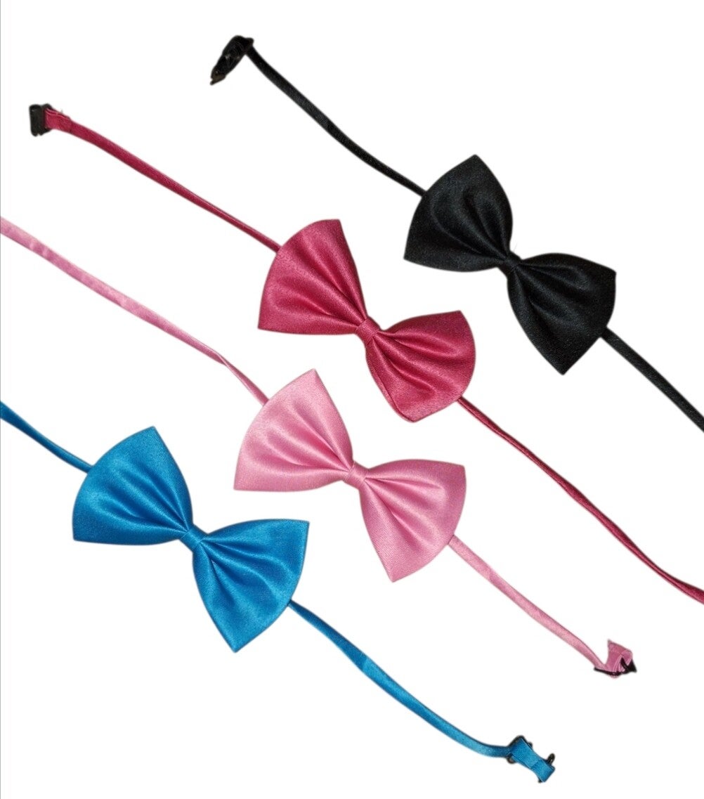 honden of katten Strik