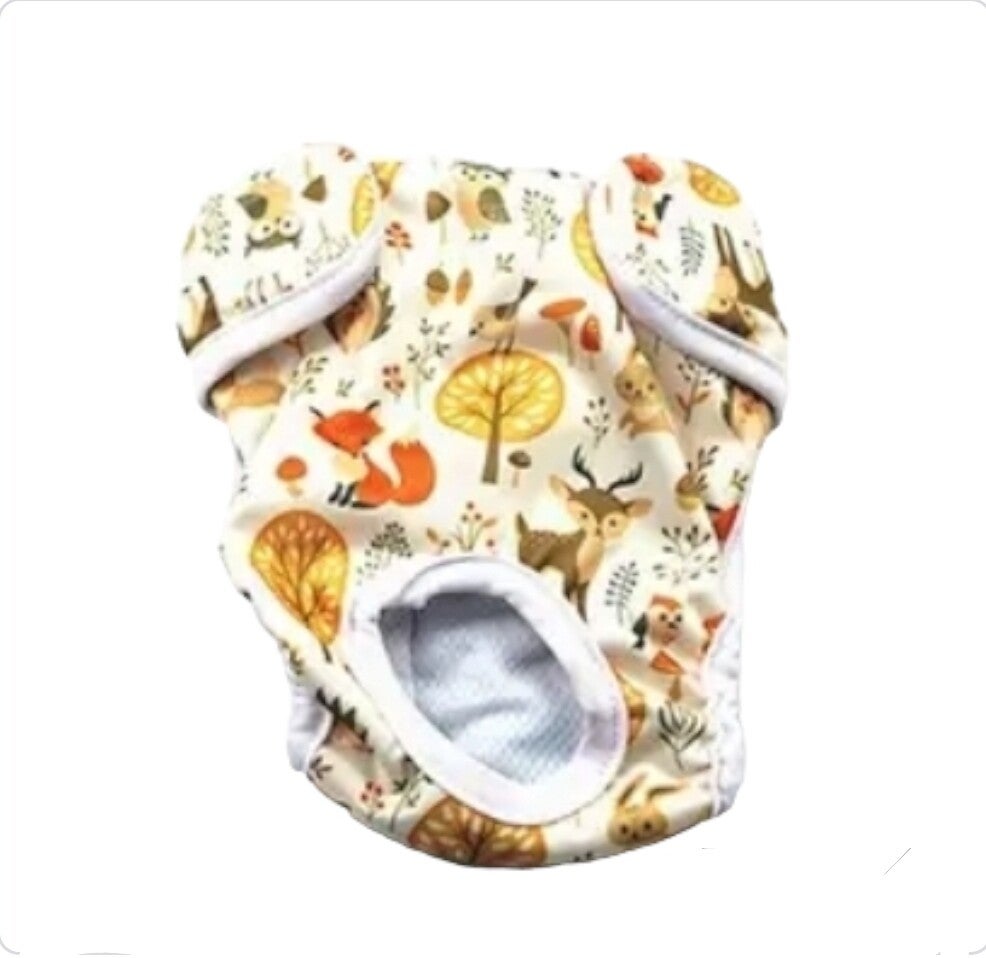 Hondenbroekje herfst