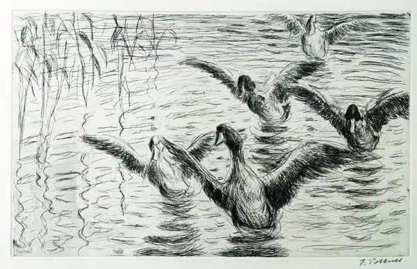 Emil Pottner (1872–1942 Austria)  Ets (droge naald) 'Eenden' ~1914  Gesigneerd met potlood