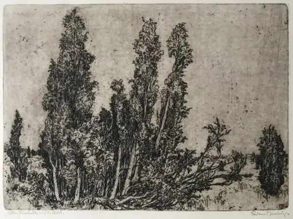 Ferdinand Steininger (Germany 1882–1959)  Ets 'Jeneverbes op de heide' 1937  Gesigneerd met potlood