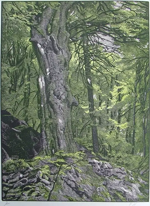 Franz Hein (1863-1927)  Kleurenhoutsnede 'Beuk / Bucher' ~1920  Gesigneerd met potlood