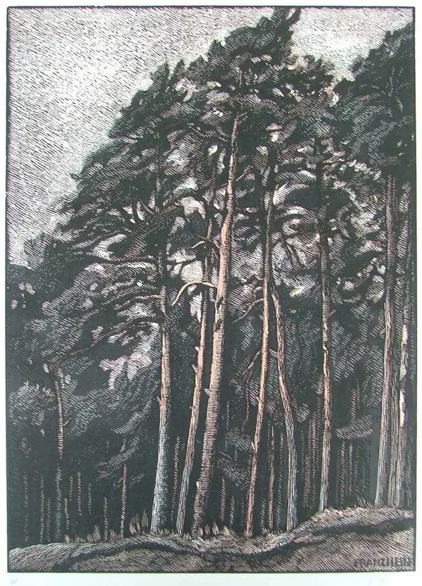 Franz Hein (1863-1927)  Kleurenhoutsnede 'Grove Den / Kiefern' ~1920  Gesigneerd met potlood