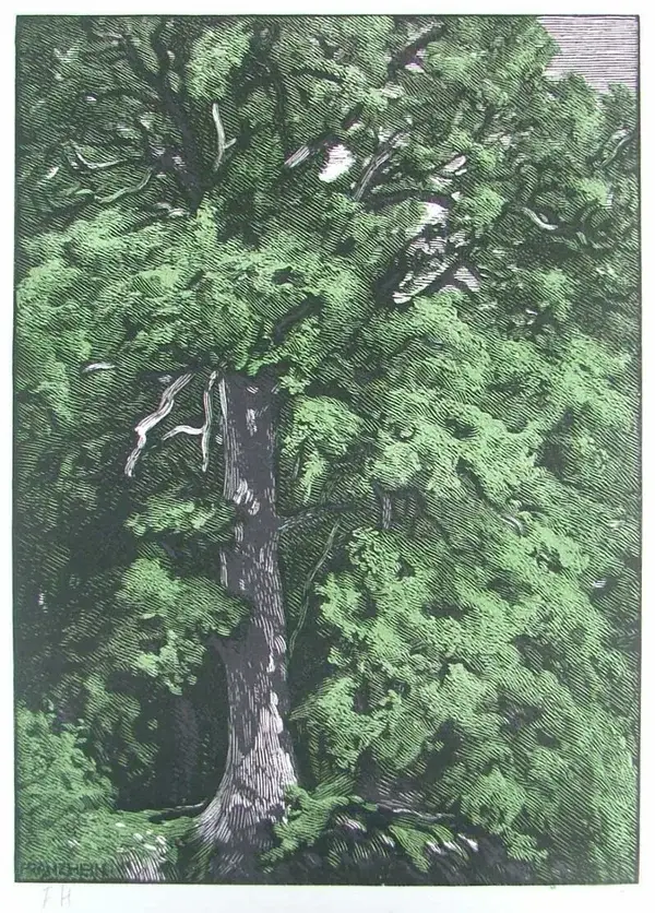 Franz Hein (1863-1927)  Kleurenhoutsnede 'Linde' ~1920  Gesigneerd met potlood