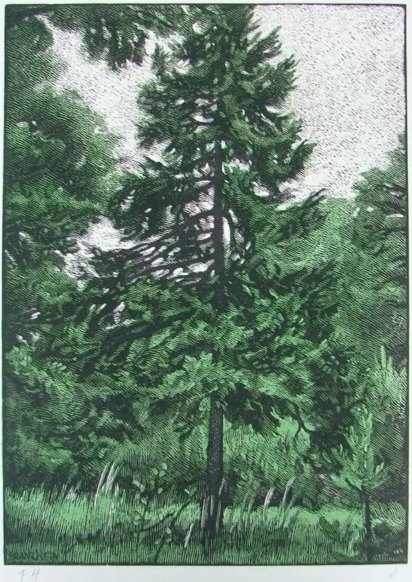 Franz Hein (1863-1927)  Kleurenhoutsnede 'Spar / Fichte' ~1920  Gesigneerd met potlood