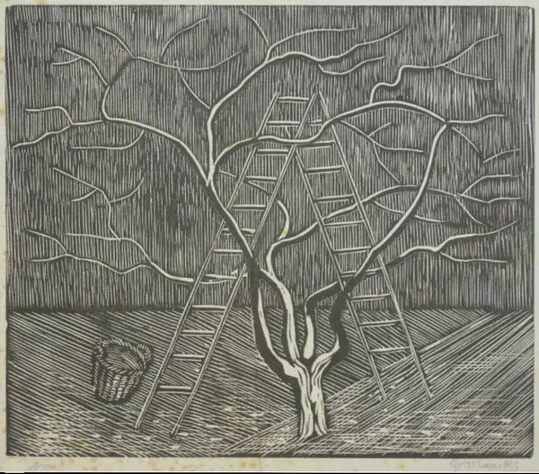 Gerhard Marcks (Berlin 1889–1981)  Houtsnede 'Ladder bij fruitboom'  -1958  Gesigneerd met potlood