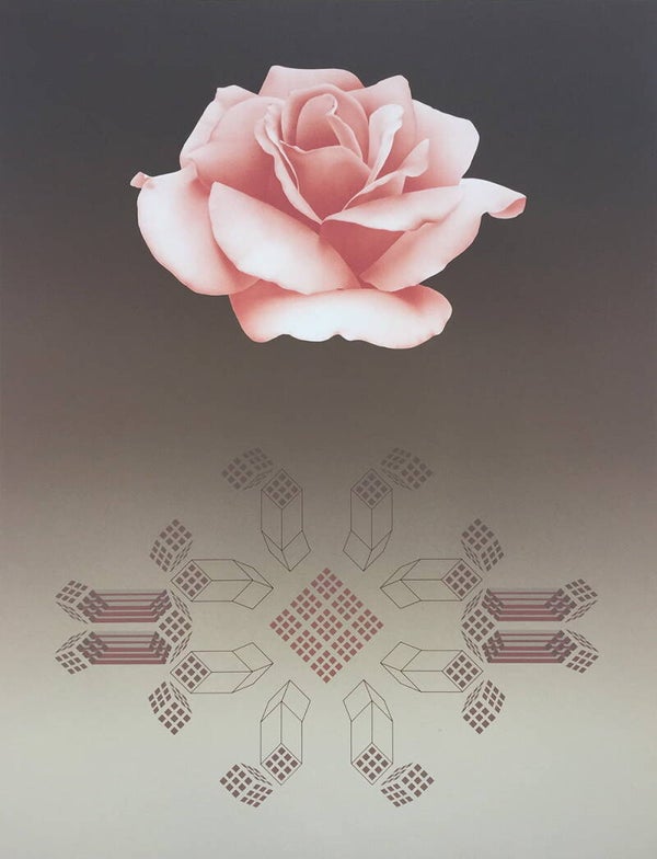David Haiden (XX)  Kleurenlithografie 'Rose matrix VIII' 1980  Gesigneerd met potlood