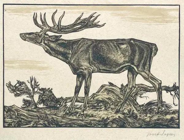 Josef Seger (Austria 1908-1998)  Houtsnede 'Edelhert' ~1935  Gesigneerd met potlood