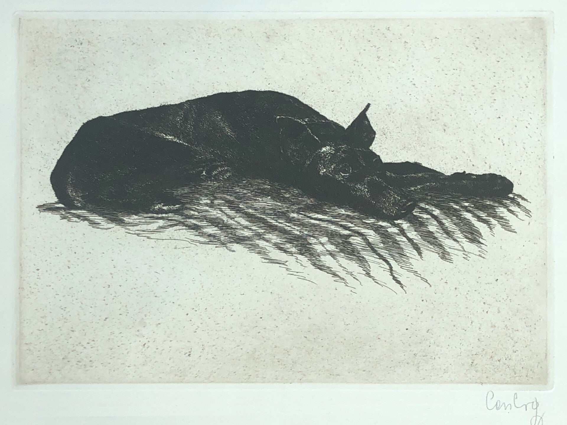 Paul Casberg (1883-1944)  Ets 'Liggende Dobermann' ~1924