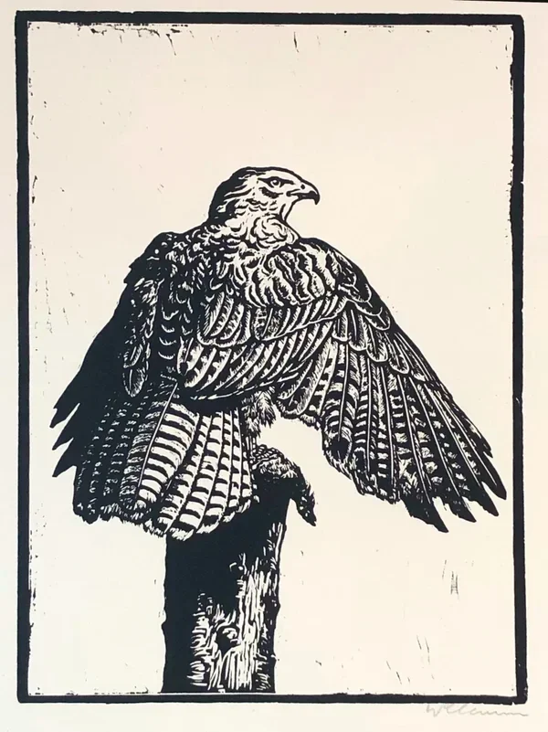 Walther Klemm (1883–1957 Germany)  Houtsnede 'Havik met prooi', ~1920  Gesigneerd met potlood