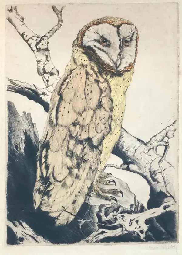 Wihelm Schmidthild (1876-1951 Germany)  Kleurenets 'Kerkuil' ca. 1920  Gesigneerd met potlood