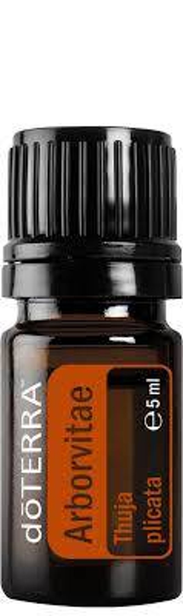 doTerra Arborvitae