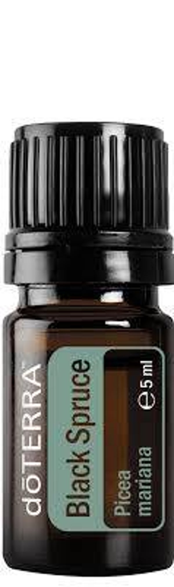 doTerra Black Spruce