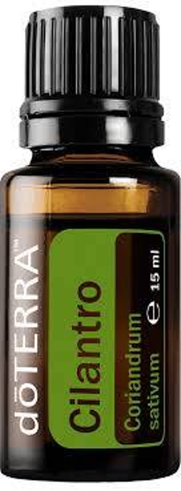 doTerra Cilantro