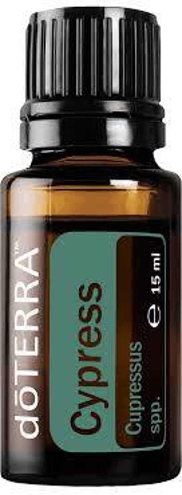 doTerra Cypress