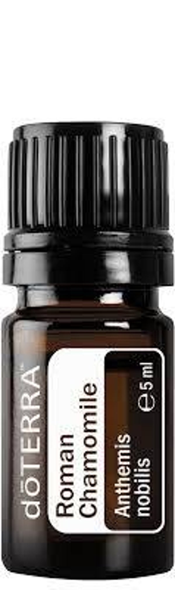 doTerra Roman Chamomile