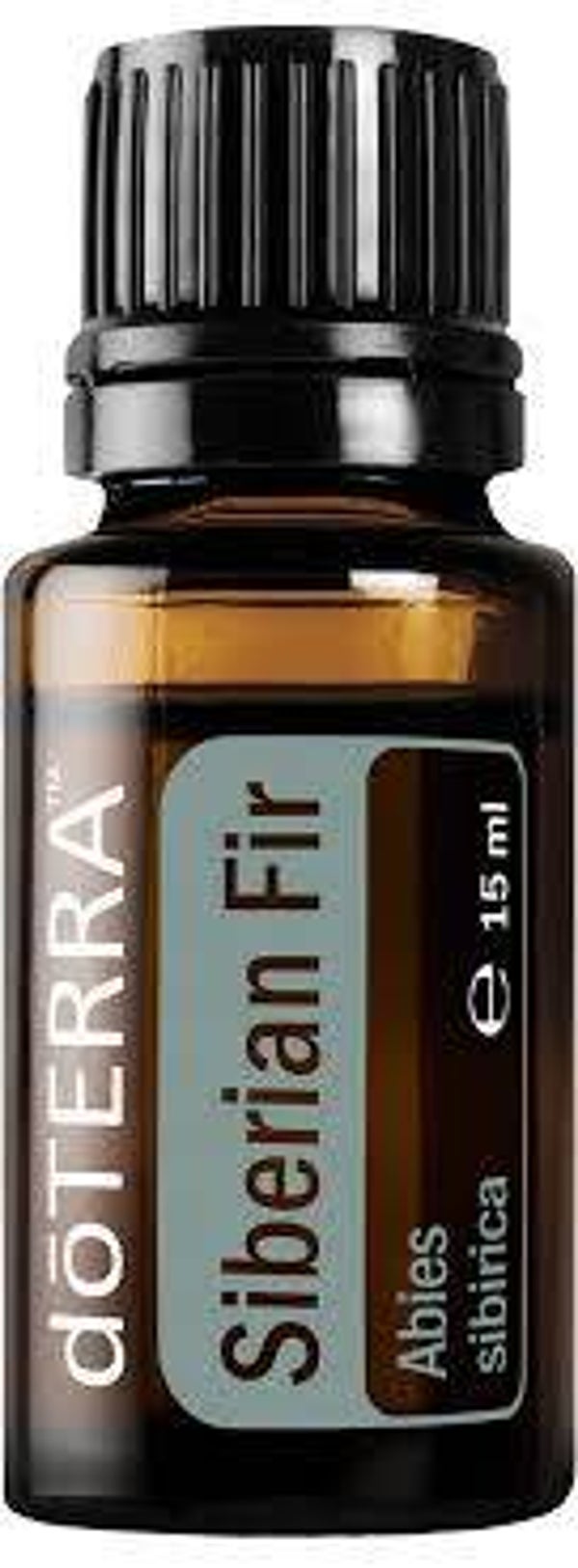 doTerra Siberian Fir