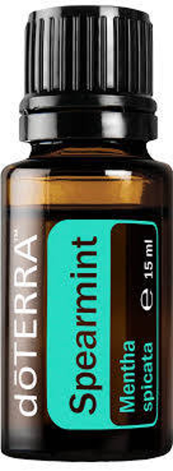 Spearmint