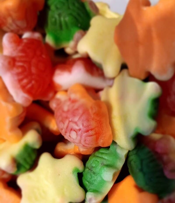 Schildkröten gefüllt