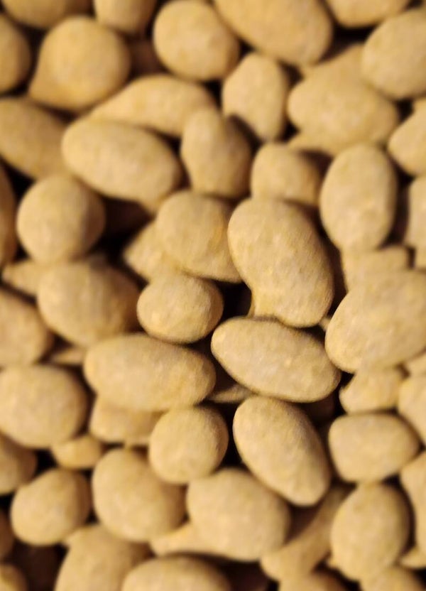 Mandeln mit Vollmilchschokolade überzogen und mit Zimt bestreut