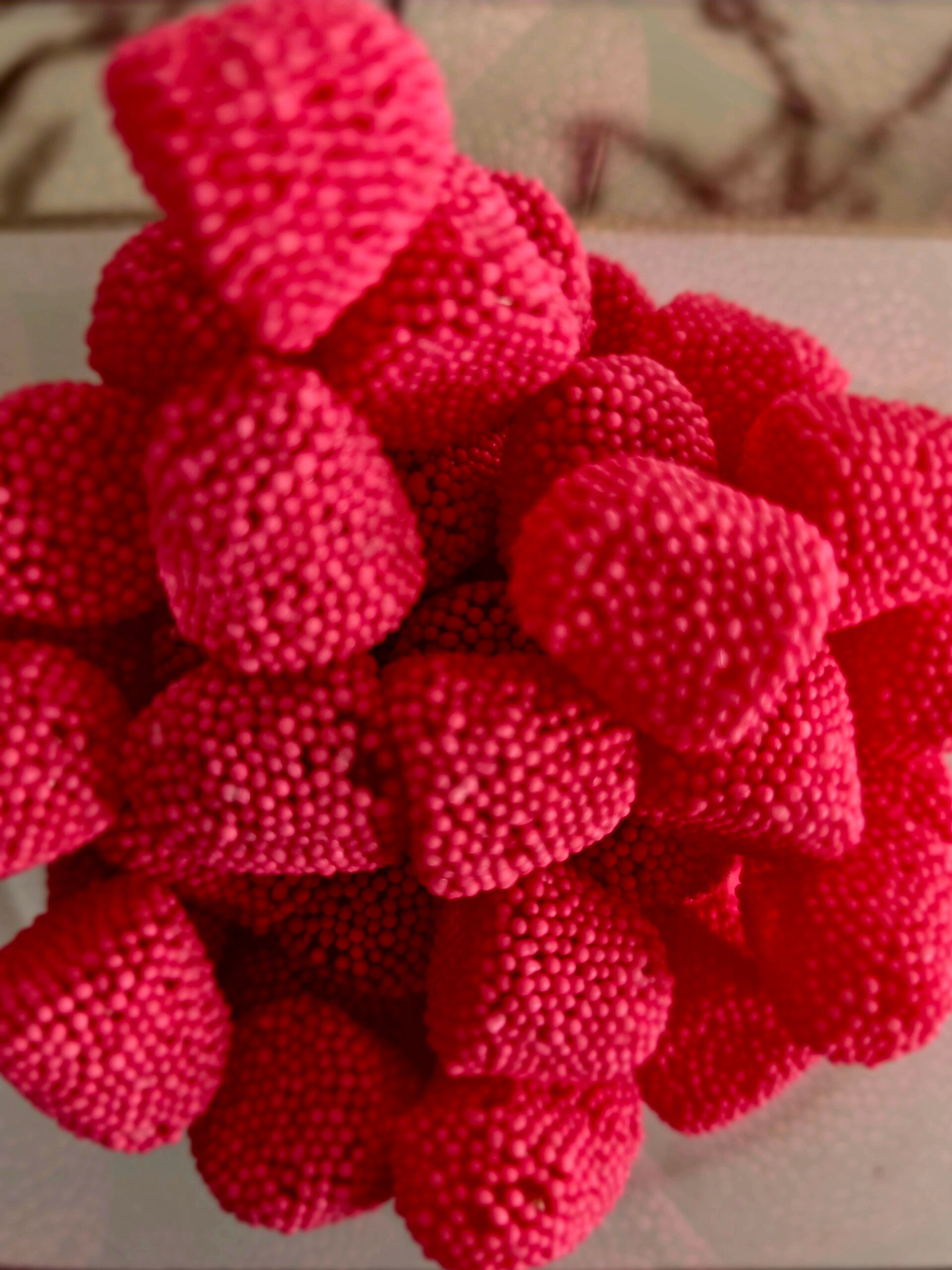 Brombeeren Erdbeer