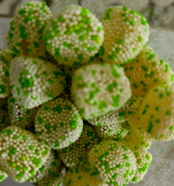 Brombeeren Kiwi
