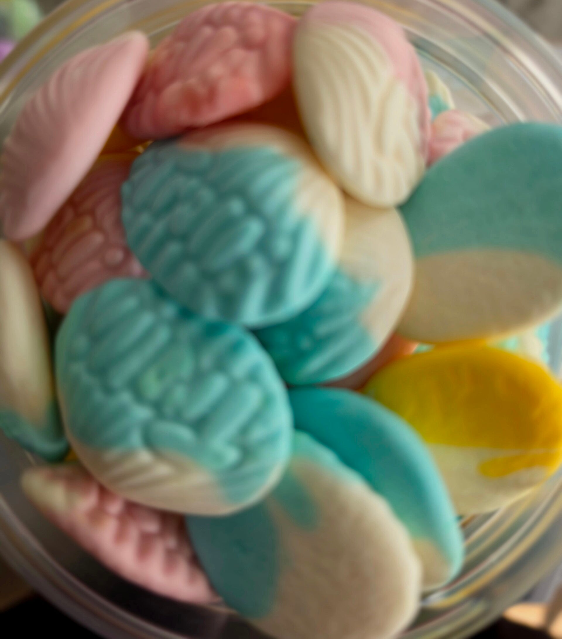 Muscheln