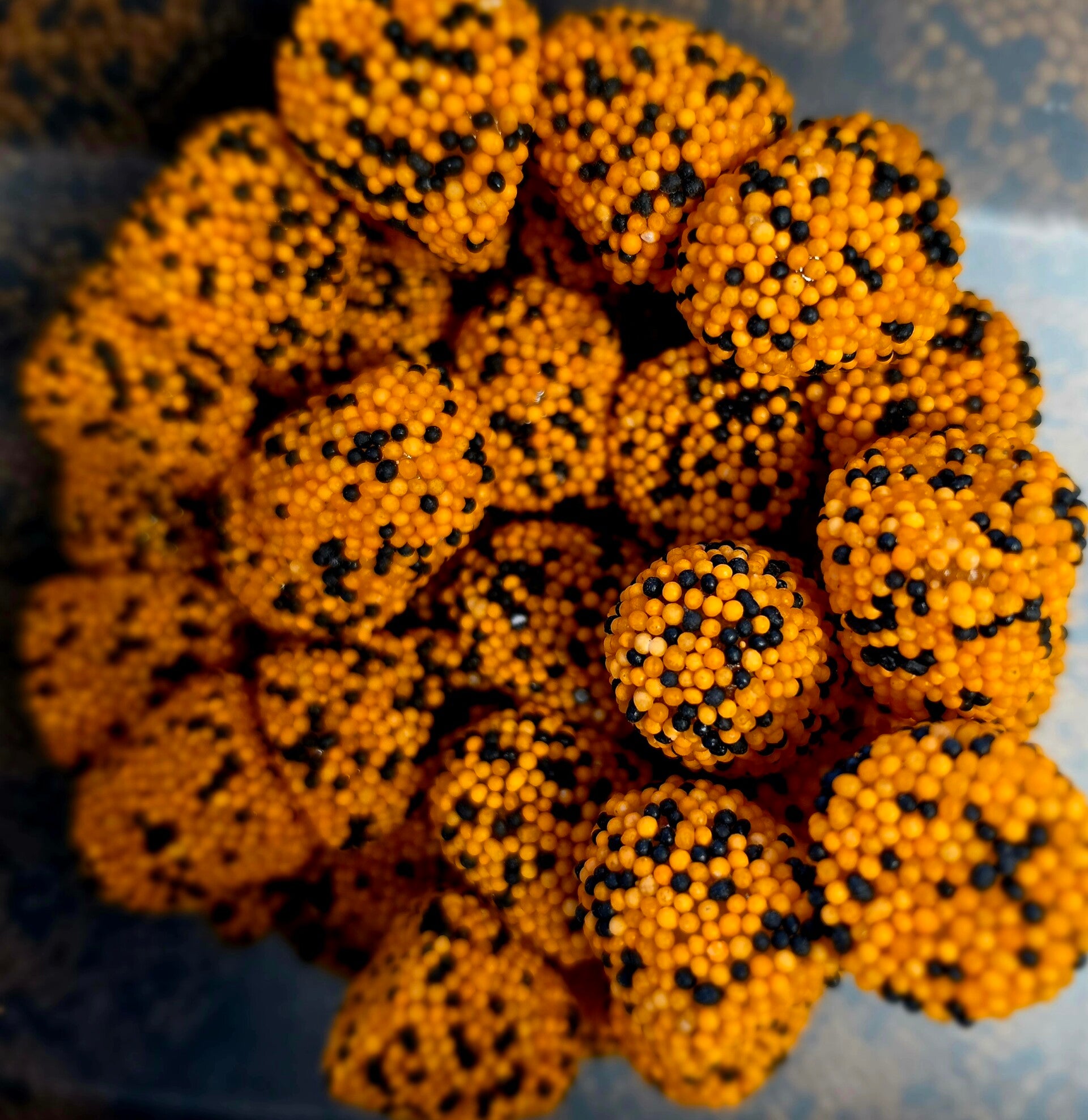 Diablo Beeren