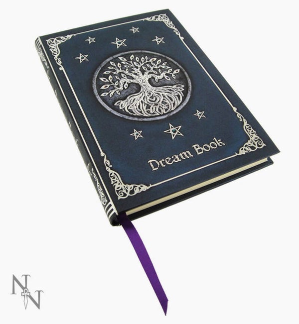 Dream Book - 17cm