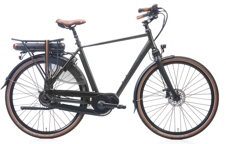 Avalon Deluxe E-Bike Heren