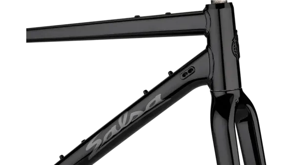 Salsa Journeyer Frame