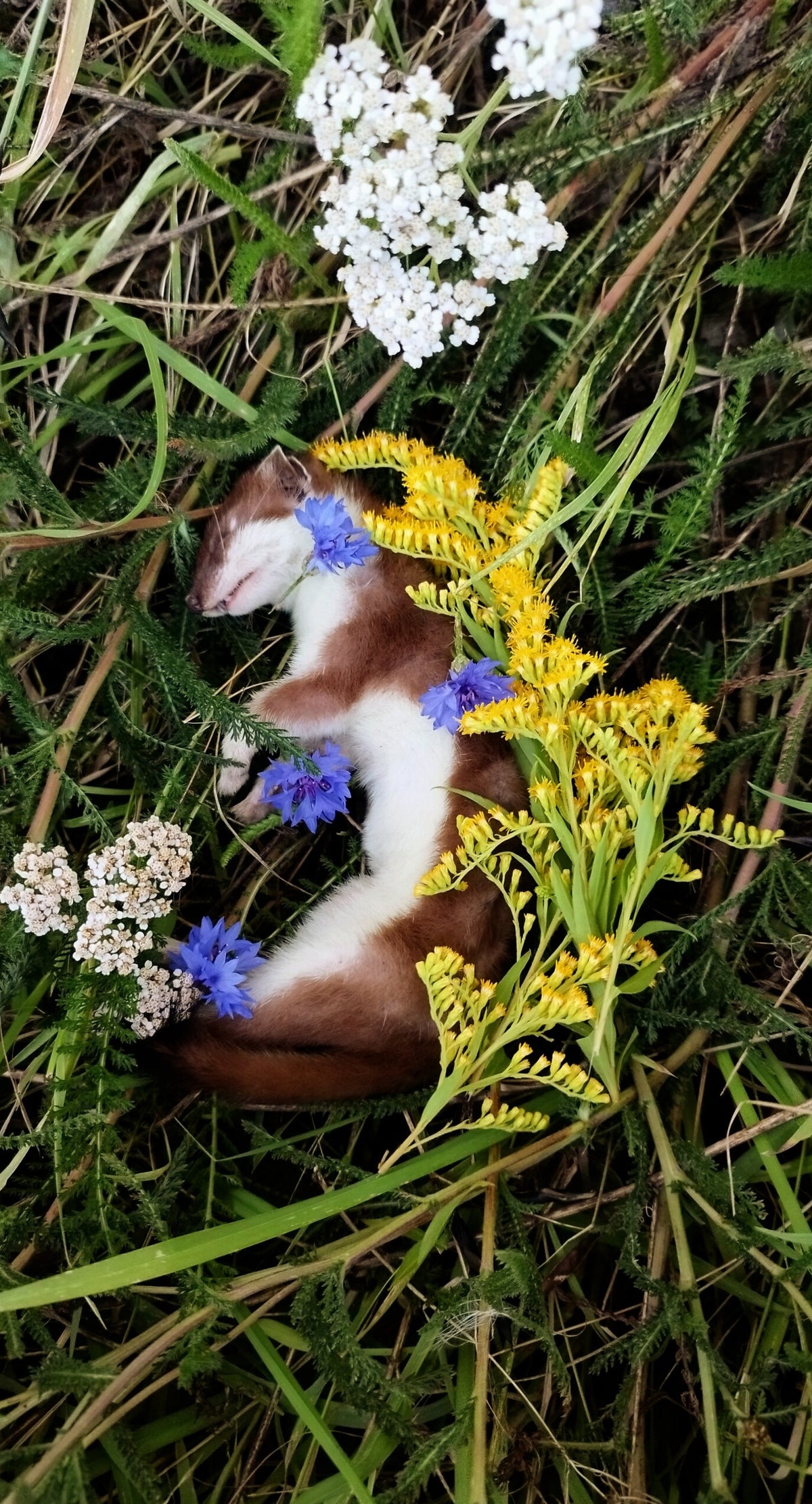 Beads and Bones gallery image