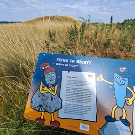 20230714_160447.jpg