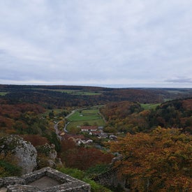 20241019_150531-standard.jpg