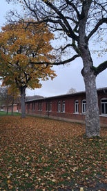 20241019_172448-standard-euxyf3.jpg