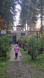 20241029_160748-standard.jpg