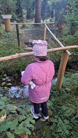 20241029_160840-standard.jpg