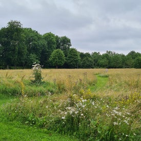 20210717_144333.jpg