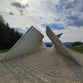 20230406_164701.jpg