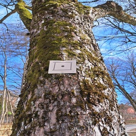 20230318_113107.jpg